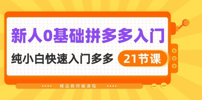 新人0基础拼多多入门，​纯小白快速入门多多(21节课-鼎誉项目网