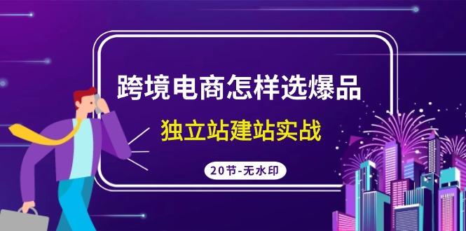 (9369期)跨境电商怎样选爆品，独立站建站实战(20节高清无水印课)-鼎誉项目网