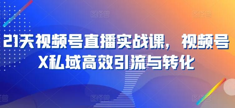 21天视频号直播实战课，视频号X私域高效引流与转化-鼎誉项目网