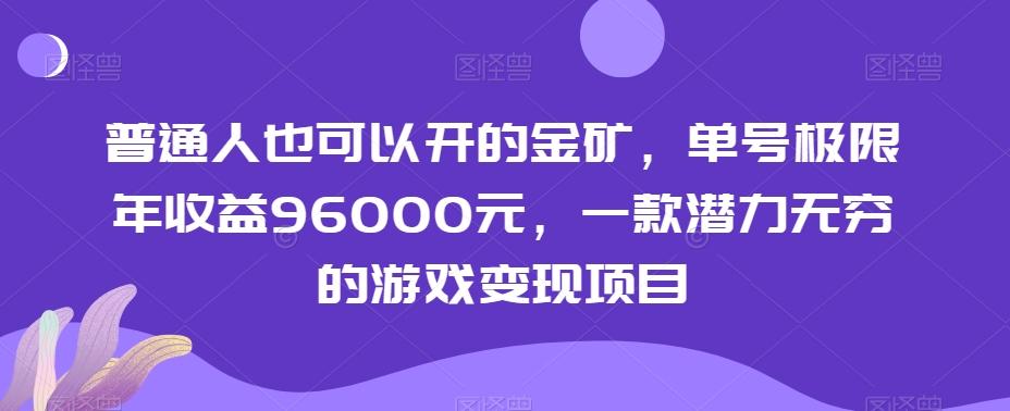 普通人也可以开的金矿，单号极限年收益96000元，一款潜力无穷的游戏变现项目【揭秘】-鼎誉项目网