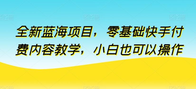 全新蓝海项目，零基础快手付费内容教学，小白也可以操作【揭秘】-鼎誉项目网