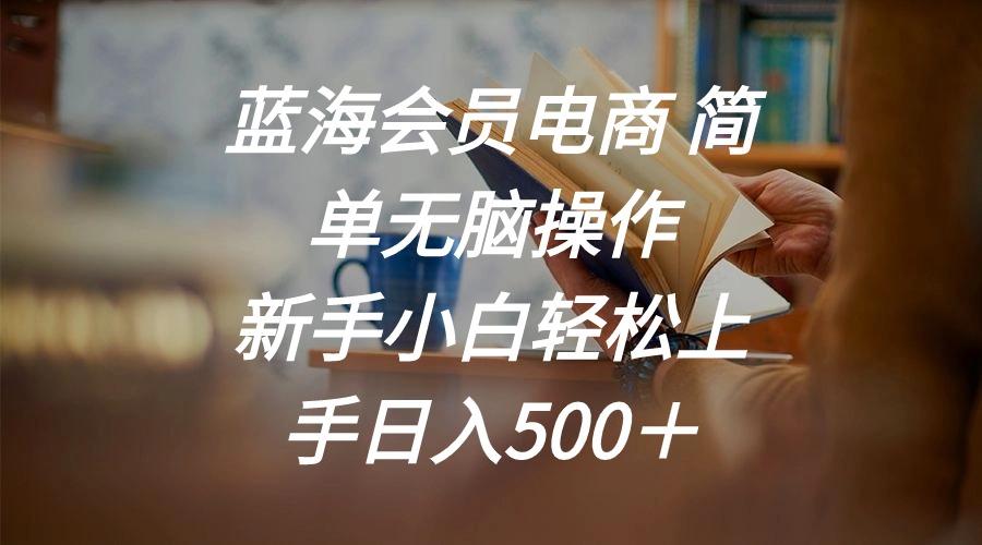 蓝海会员电商 简单无脑操作 新手小白轻松上手日入500＋-鼎誉项目网