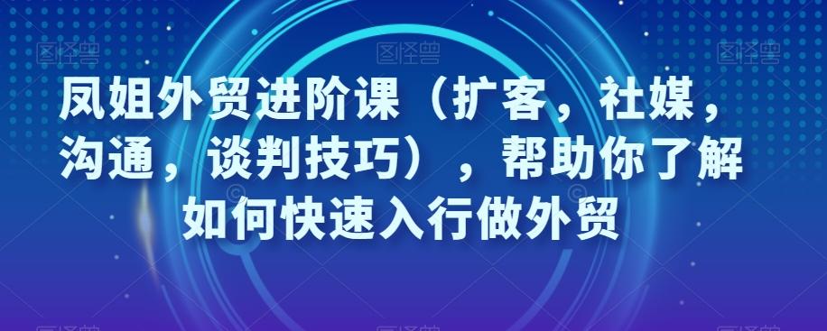 凤姐外贸进阶课（扩客，社媒，沟通，谈判技巧），帮助你了解如何快速入行做外贸-鼎誉项目网