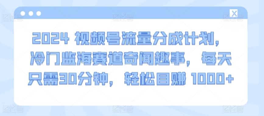 2024视频号流量分成计划，冷门监海赛道奇闻趣事，每天只需30分钟，轻松目赚 1000+【揭秘】-鼎誉项目网