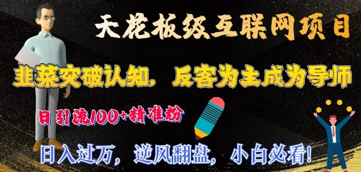 天花板级互联网项目，韭菜突破认知，反客为主成为导师，日引流100+精准粉-鼎誉项目网