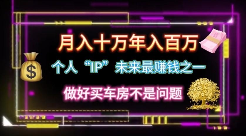 个人“ip”月入10w，年入100w-鼎誉项目网