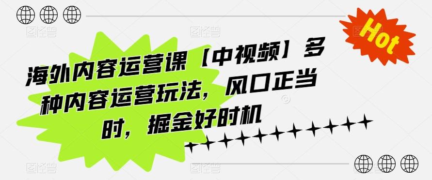 海外内容运营课【中视频】多种内容运营玩法，风口正当时，掘金好时机-鼎誉项目网