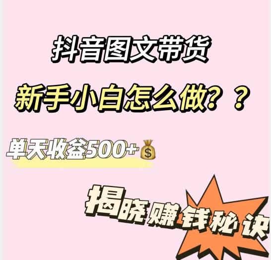 抖音图文带货，新手小白怎么做？单天收益500+【揭秘赚钱秘诀】-鼎誉项目网