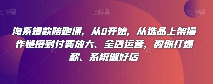 淘系爆款陪跑课，从0开始，从选品上架操作链接到付费放大、全店运营，教你打爆款、系统做好店-鼎誉项目网