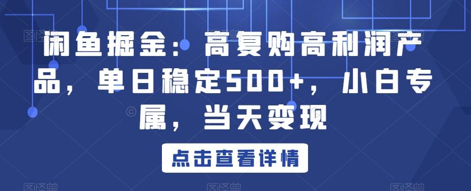闲鱼掘金：高复购高利润产品，单日稳定500+，小白专属，当天变现-鼎誉项目网