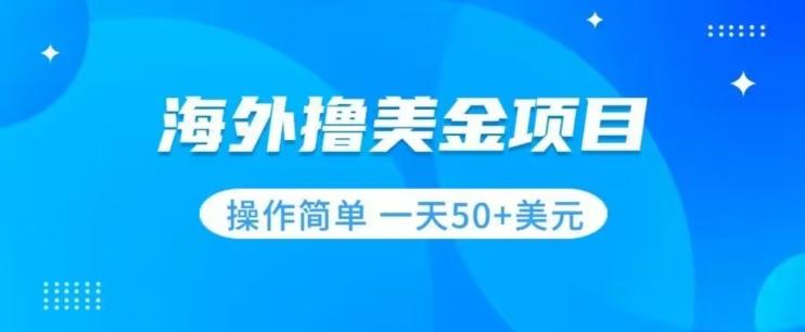 撸美金项目无门槛操作简单小白一天50+美刀-鼎誉项目网