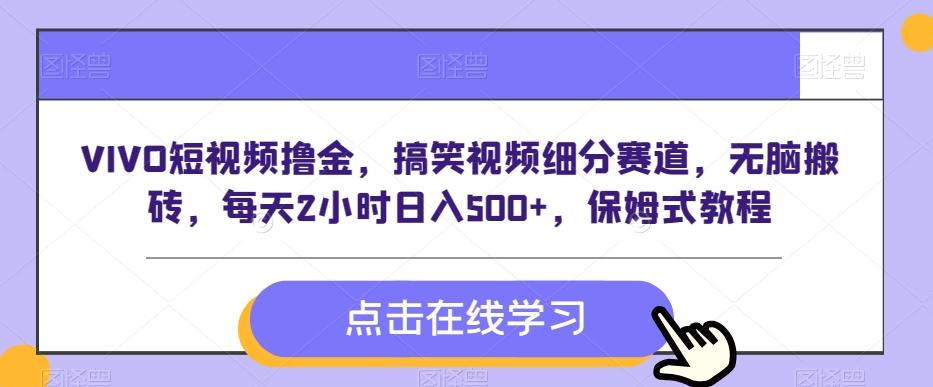 VIVO短视频撸金，搞笑视频细分赛道，无脑搬砖，每天2小时日入500+，保姆式教程-鼎誉项目网