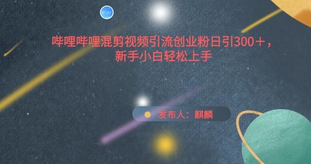 哔哩哔哩混剪视频引流创业粉日引300+，新手小白轻松上手【揭秘】-鼎誉项目网