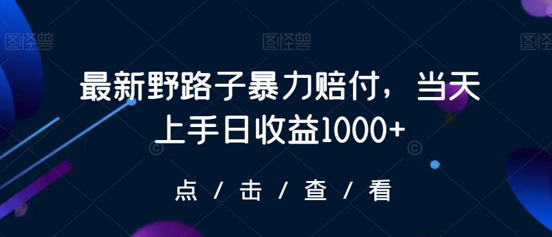 最新野路子暴力赔付，当天上手日收益1000+【仅揭秘】-鼎誉项目网
