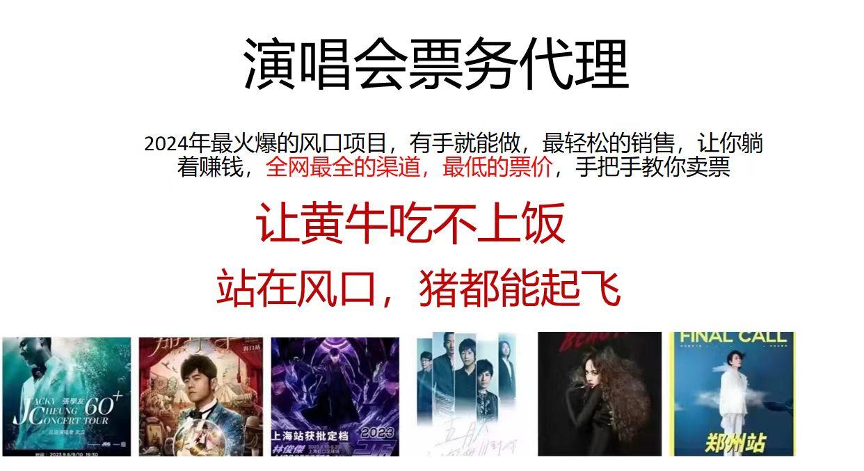 演唱会票务代理，2024年最火爆风口项目，全网最低的票价，小白一分钟上…-鼎誉项目网