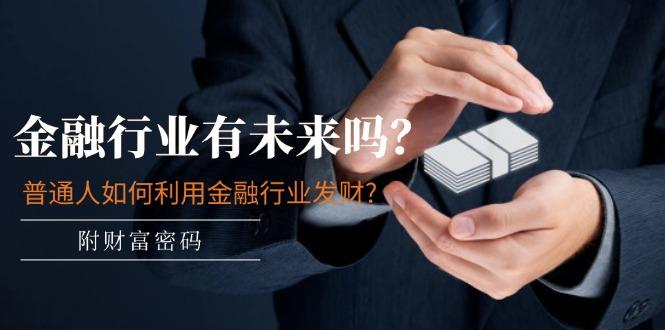 某付费文章：金融行业有未来吗？普通人如何利用金融行业发财?(附财富密码-鼎誉项目网