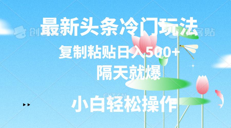 最新头条冷门玩法，隔天就爆，复制粘贴日入500+-鼎誉项目网