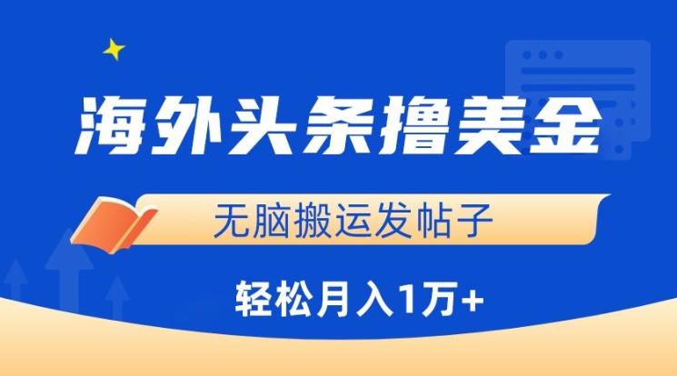 海外头条撸美金，无脑搬运发帖子，月入1万+，小白轻松掌握【揭秘】-鼎誉项目网