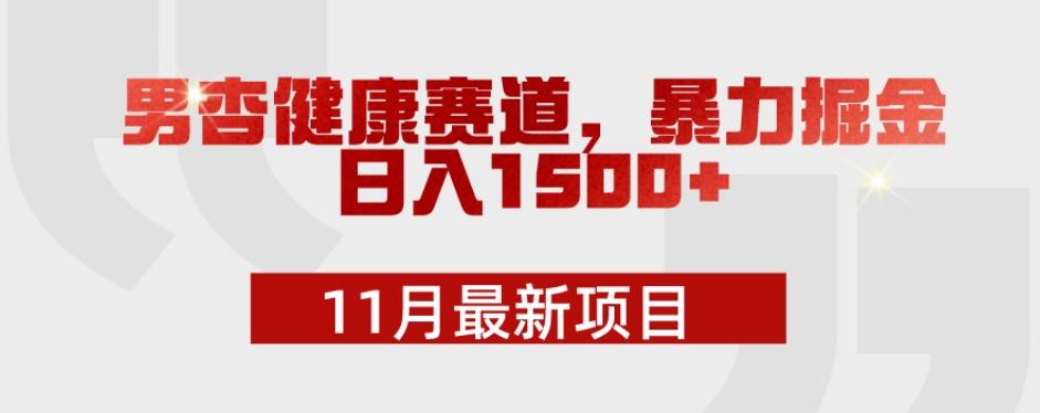 11月最新项目，男杏健康赛道，暴力掘金，日入1500+-鼎誉项目网