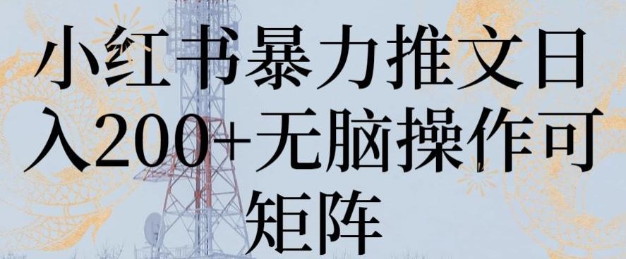 小红书暴力推文日入200+无脑操作可矩阵【揭秘】-鼎誉项目网