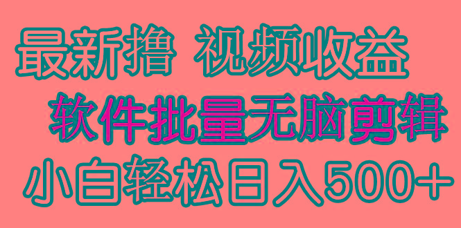(9569期)发视频撸收益，软件无脑批量剪辑，第一天发第二天就有钱-鼎誉项目网