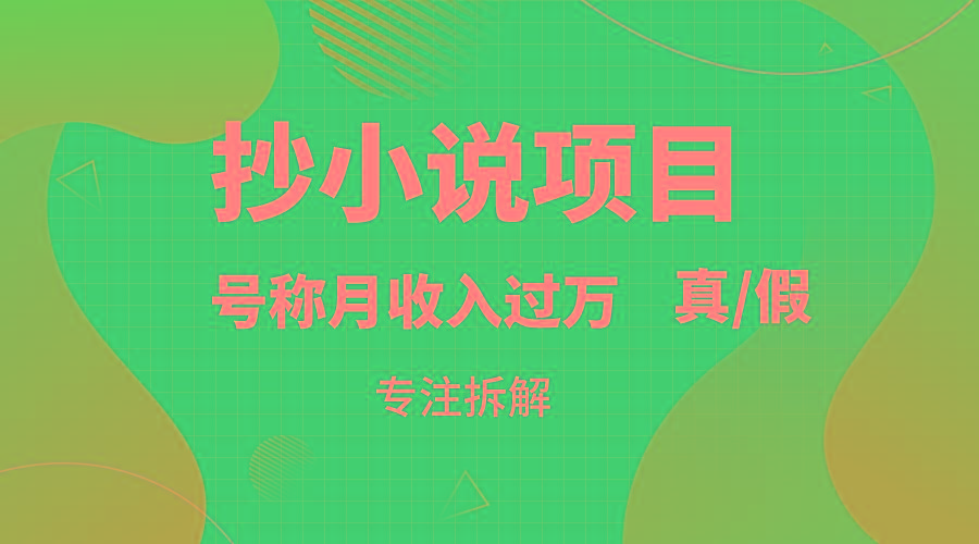 抄小说项目，号称月入过万，到底是否真实，能不能做，详细拆解-鼎誉项目网