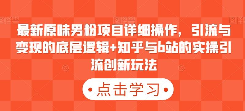 最新原味男粉项目详细操作，引流与变现的底层逻辑+知乎与b站的实操引流创新玩法-鼎誉项目网