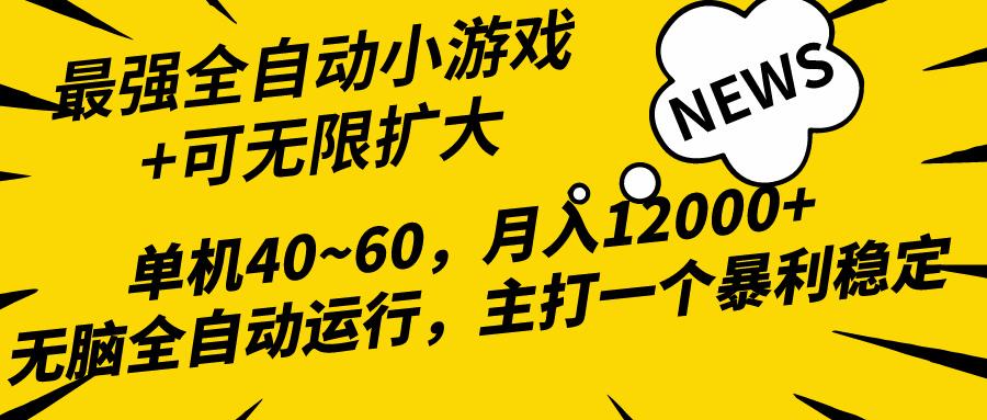 (10046期)2024最新全网独家小游戏全自动，单机40~60,稳定躺赚，小白都能月入过万-鼎誉项目网