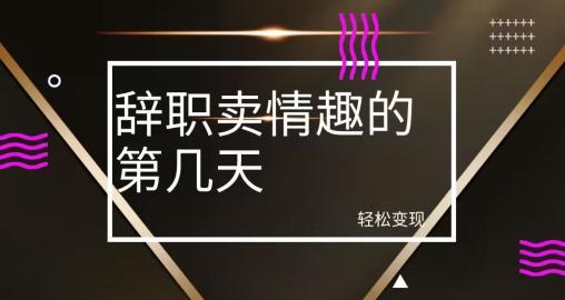 冷门赛道，辞职卖情趣的第几天，超暴力项目-鼎誉项目网