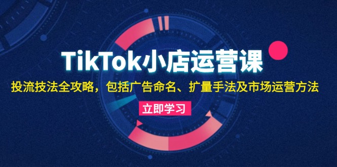 TikTok小店运营课：投流技法全攻略，包括广告命名 扩量手法及市场运营方法-鼎誉项目网