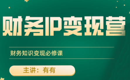 有有老师·财务IP变现营，财务知识变现必修课-鼎誉项目网