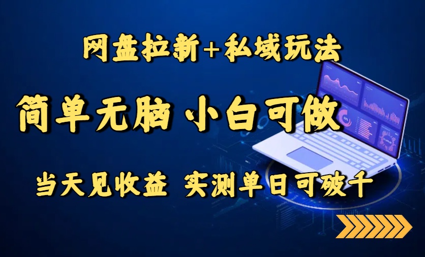 网盘拉新+私域玩法，简单无脑，小白可做，当天见收益，实测单日可破千-鼎誉项目网