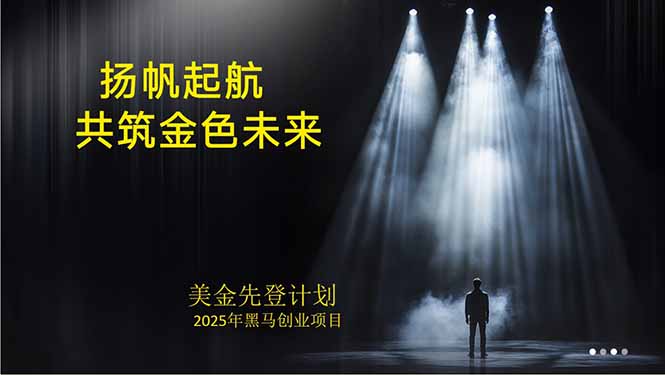 美金对冲创业项目，日收益1000-3000，小众暴力项目稳定运行8年-鼎誉项目网