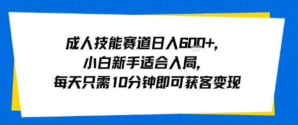 成人技能赛道日入多张，小白新手适合入局，每天只需10分钟即可获客变现-鼎誉项目网