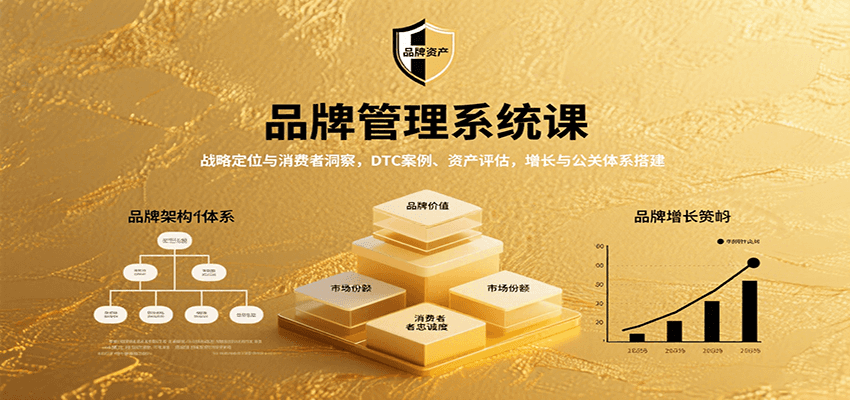 品牌管理系统课:战略定位与消费者洞察,DTC案例、资产评估,增长与公关体系搭建-鼎誉项目网
