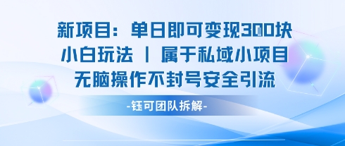 新项目单日即可变现3张的小白玩法无脑操作不封号安全引流-鼎誉项目网