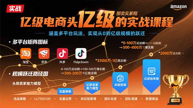 亿级电商头部卖家的实战课程：涵盖多平台玩法，实现从0到亿级规模的跃迁-鼎誉项目网