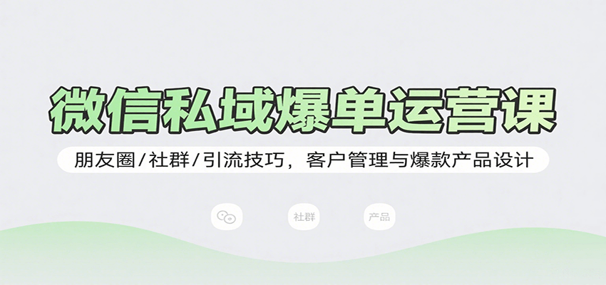 微信私域爆单运营课：朋友圈/社群/引流技巧，客户管理与爆款产品设计-鼎誉项目网