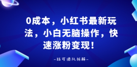 0成本，小红书最新玩法，小白无脑操作，快速涨粉变现-鼎誉项目网