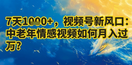7天收益1k+，视频号新风口：中老年情感视频如何月入过W?-鼎誉项目网
