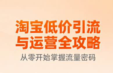 淘宝低价引流与运营全攻略(更新9月)-鼎誉项目网