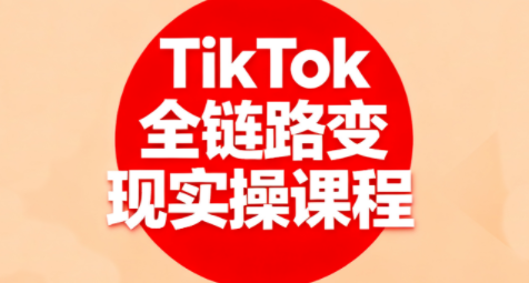 小杨老师·TikTok全链路变现实操课程-鼎誉项目网