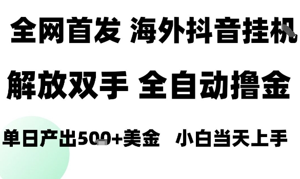 海外抖音无人直播，单日产出1.5k+，长期稳定，新手可玩，无脑操作【揭秘】-鼎誉项目网