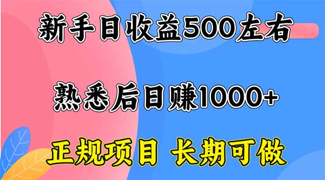 新手日收益500+ 正规项目 长期可做-鼎誉项目网