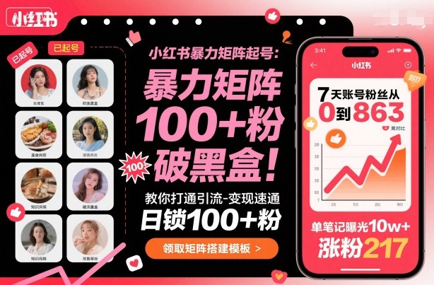 小红书暴力矩阵起号，教你打通引流-变现速通，日锁100+粉，破流量黑盒-鼎誉项目网