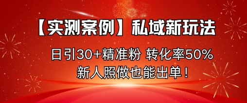【实测案例】私域新玩法，日引30+精准粉，转化率50%，新人照做也能出单！-鼎誉项目网