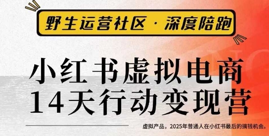 小红书虚拟电商14天变现训练营3.0，​虚拟产品，2025年普通人在小红书最后的搞钱机会-鼎誉项目网