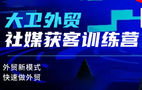 大卫老师·外贸社媒获客独家训练营(更新10月)-鼎誉项目网
