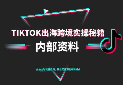 TikTok跨境电商0-1搭建运营(更新10月)-鼎誉项目网