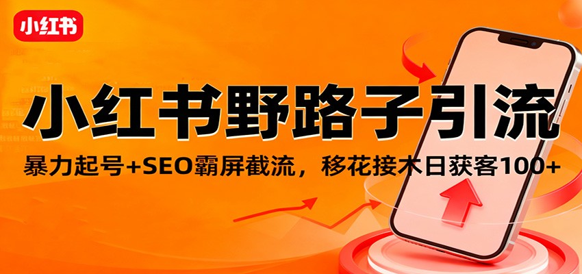 小红书野路子引流,暴力起号+SEO霸屏截流,移花接木日获客100+-鼎誉项目网